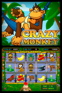 Crazy Monkey